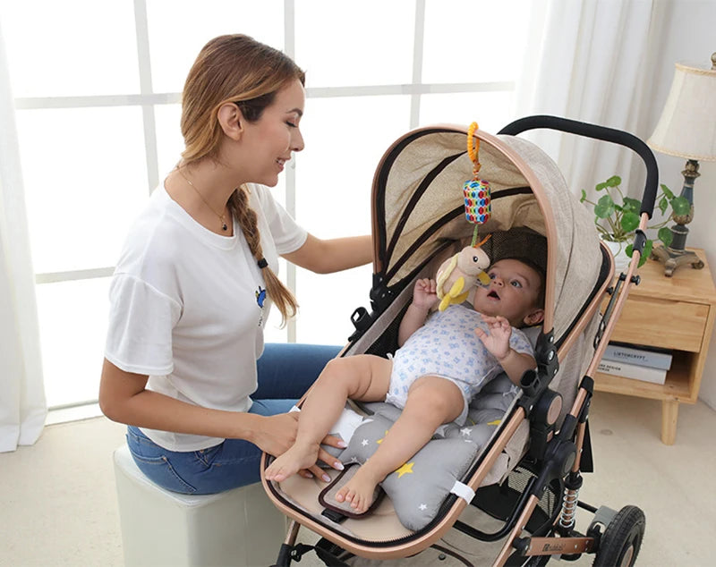 Baby Hanging Rattle Toys