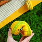Summer Kids ShoesSandals